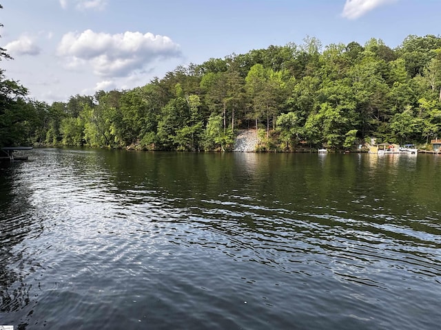 1700 W Lakeshore Dr Lot K, Landrum, SC 29356 - water view with a heavily wooded area
