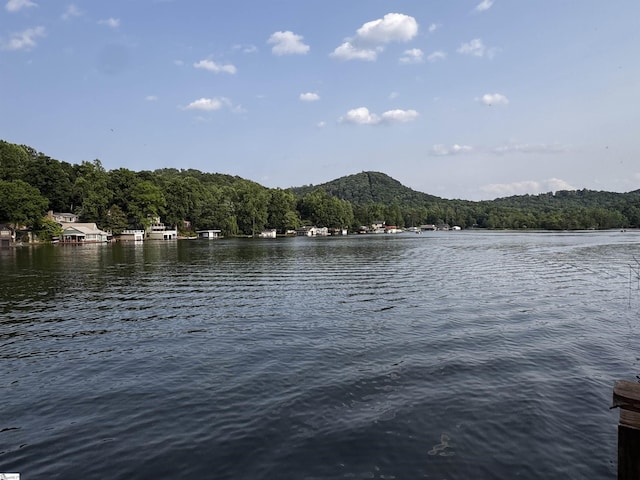 1700 W Lakeshore Dr Lot K, Landrum, SC 29356 - water view with a heavily wooded area