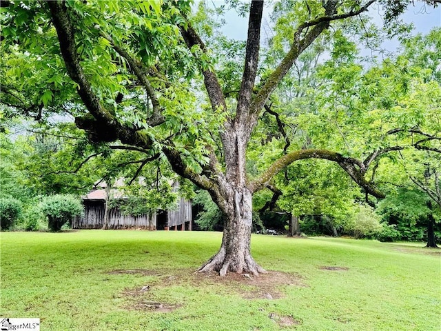 800 Holiday Dam Rd, Honea Path, SC 29654 - view of grassy yard