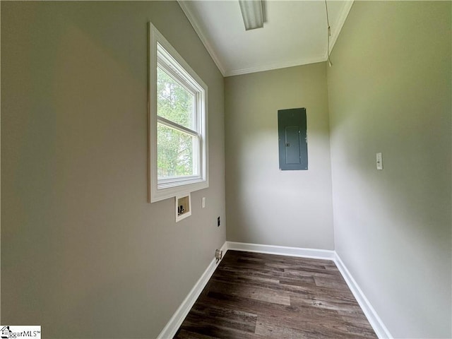 800 Holiday Dam Rd, Honea Path, SC 29654 - spare room with electric panel, ornamental molding, dark wood-style flooring, and baseboards