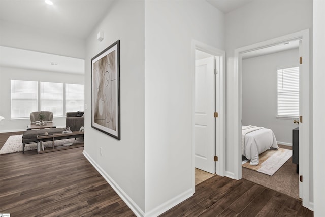 1142 Berry Patch Dr, Lyman, SC 29365 - hallway with dark wood finished floors, baseboards, and plenty of natural light