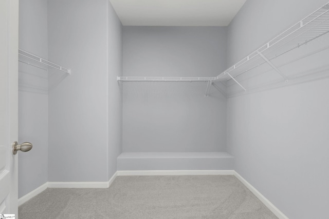 160 Spirit Mountain Ln, Easley, SC 29642 - spacious closet with carpet