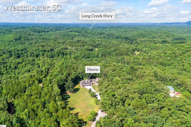 280 Kari Dr, Westminster, SC 29693 - drone / aerial view of a forest