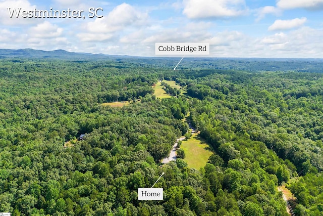 280 Kari Dr, Westminster, SC 29693 - bird's eye view of a forest