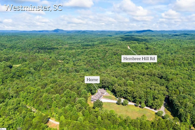 280 Kari Dr, Westminster, SC 29693 - aerial view of a forest