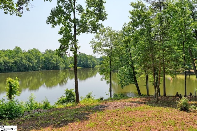 182 Roundstone Dr, Inman, SC 29349 - water view featuring a heavily wooded area