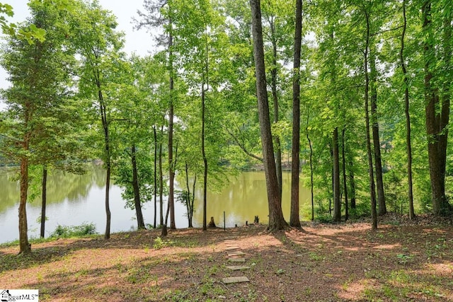 182 Roundstone Dr, Inman, SC 29349 - water view