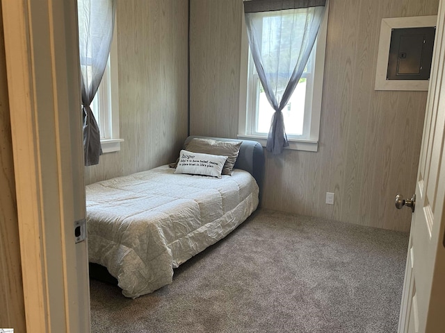 71 2nd St, Laurens, SC 29360 - carpeted bedroom featuring electric panel