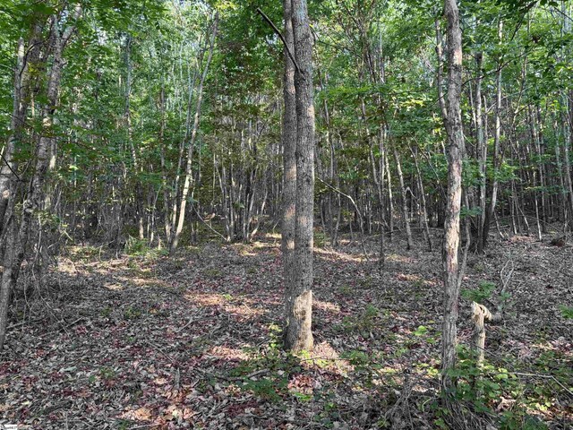 201 Gibson Rd, Easley, SC 29640