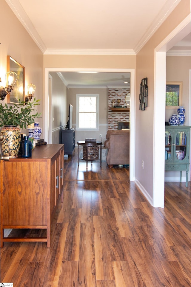 202 Centerpointe Rd, Belton, SC 29627 - hall with dark wood-style flooring, crown molding, and baseboards