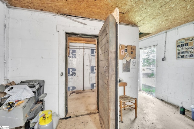 207 Starnes Rd, Laurens, SC 29360 - basement with concrete block wall