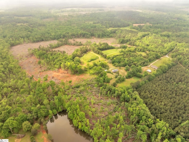 207 Starnes Rd, Laurens, SC 29360 - aerial view of a forest and a large body of water