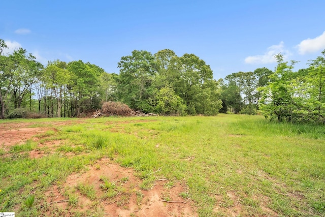 207 Starnes Rd, Laurens, SC 29360 - view of yard with a wooded view