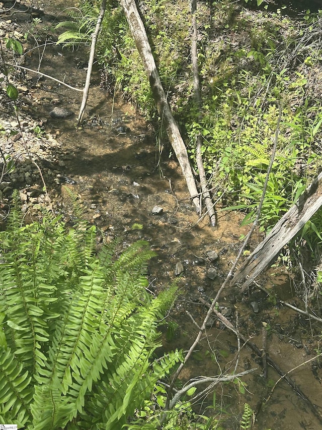 207 Starnes Rd, Laurens, SC 29360 - view of nature