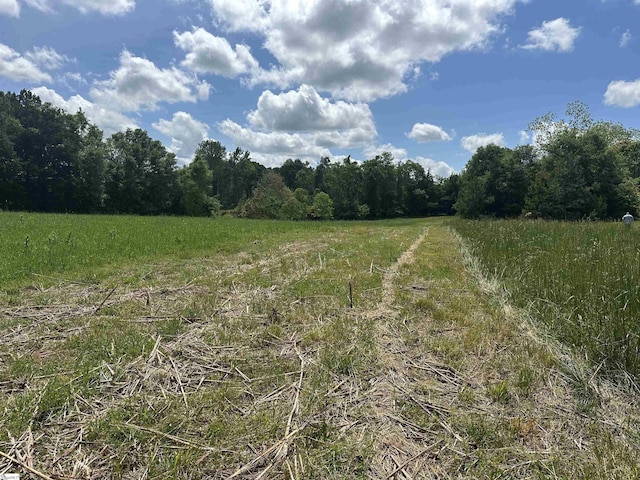 207 Starnes Rd, Laurens, SC 29360 - view of local wilderness featuring rural landscape