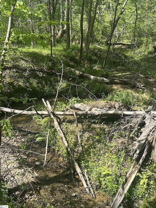 207 Starnes Rd, Laurens, SC 29360 - view of undeveloped land