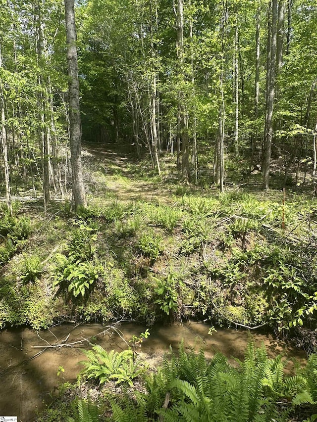 207 Starnes Rd, Laurens, SC 29360 - view of local wilderness