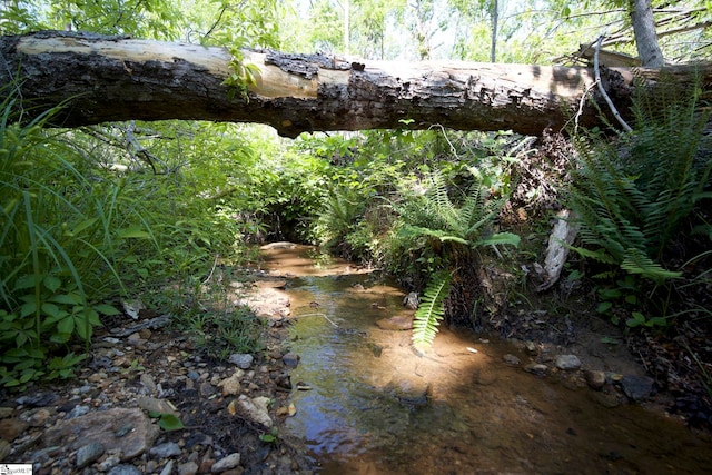 207 Starnes Rd, Laurens, SC 29360 - view of nature
