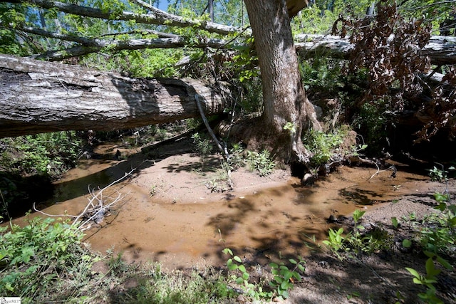207 Starnes Rd, Laurens, SC 29360 - view of nature