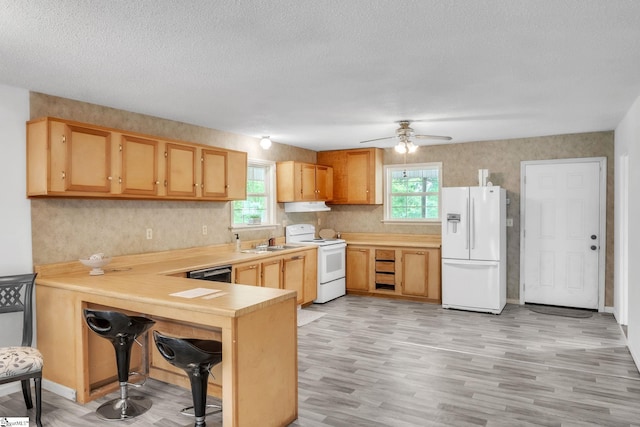 207 Starnes Rd, Laurens, SC 29360 - kitchen featuring white appliances, a peninsula, plenty of natural light, light countertops, and a textured ceiling