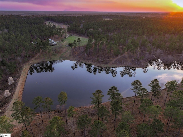 2164 Loncolnton Hwy, Elberton, GA 30635 - aerial view at dusk of a wooded view and a water view