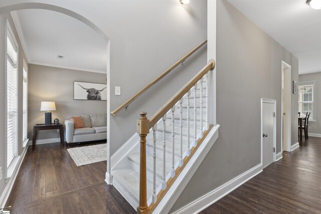 125 Saxon Falls Ct, Greenville, SC 29607 - stairway featuring arched walkways, wood finished floors, baseboards, and crown molding