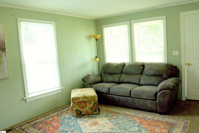 210 Mcdowell St, Laurens, SC 29360 - living area with ornamental molding