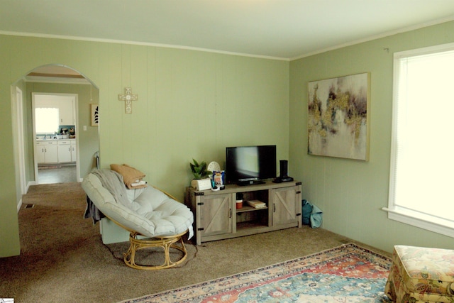 210 Mcdowell St, Laurens, SC 29360 - living area with arched walkways, ornamental molding, and carpet floors