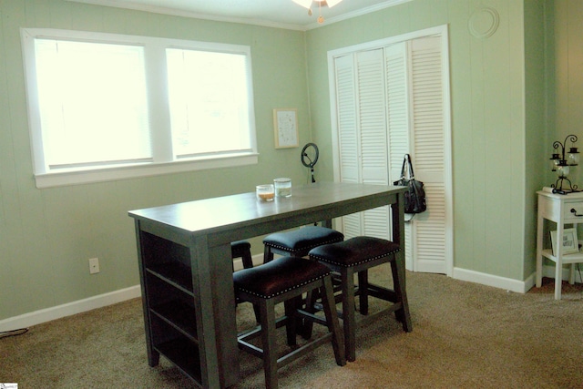 210 Mcdowell St, Laurens, SC 29360 - dining space featuring carpet, crown molding, and baseboards