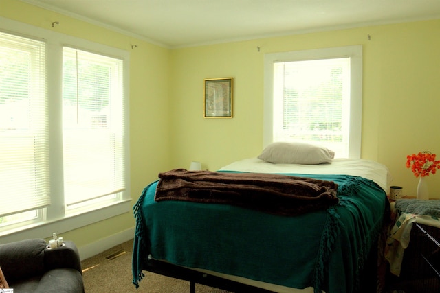 210 Mcdowell St, Laurens, SC 29360 - bedroom with carpet flooring and crown molding