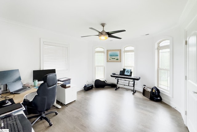 740 N Alamosa Dr, Boiling Springs, SC 29316 - office featuring ornamental molding, light wood finished floors, ceiling fan, and baseboards