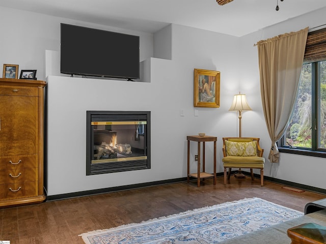 380 Montagu Dr, Spartanburg, SC 29301 - sitting room featuring wood finished floors, a glass covered fireplace, and baseboards