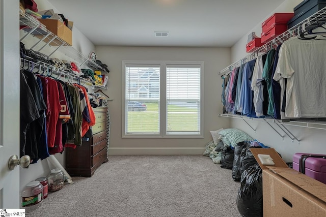 2 Stony Run Ln, Simpsonville, SC 29681 - spacious closet with carpet