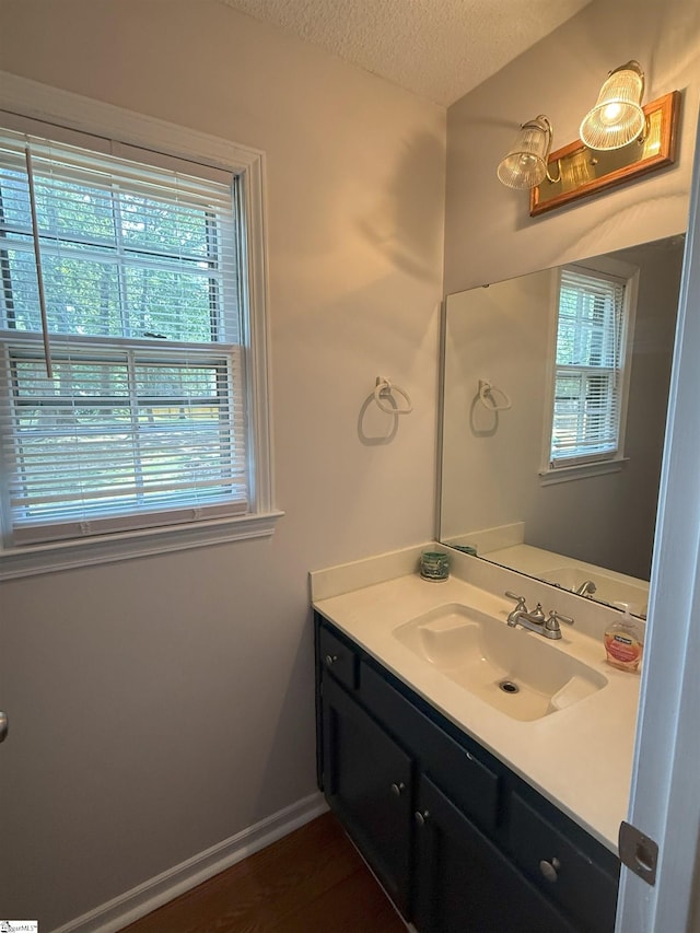 111 Firethorne Ct, Greer, SC 29650 - bathroom featuring vanity, a textured ceiling, baseboards, and wood finished floors