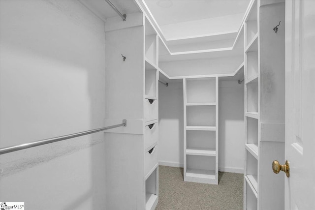 107 Cinder Creek Ln, Spartanburg, SC 29307 - walk in closet featuring carpet flooring