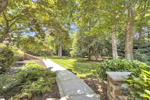 103 Brandon Way, Simpsonville, SC 29681 - view of grassy yard with stairway and view of wooded area