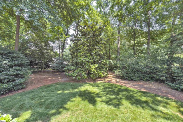 103 Brandon Way, Simpsonville, SC 29681 - view of green lawn