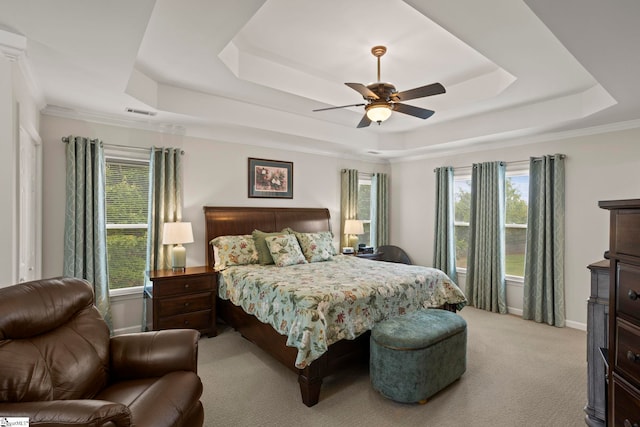4 Jester Ct, Simpsonville, SC 29681 - bedroom with a raised ceiling and multiple windows