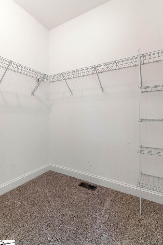 30 Caperton Way, Greer, SC 29651 - spacious closet featuring carpet flooring