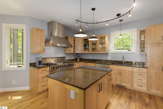 6 Terrapin Trl, Taylors, SC 29687 - kitchen with wall chimney exhaust hood, light brown cabinets, a sink, stainless steel appliances, and light wood-type flooring