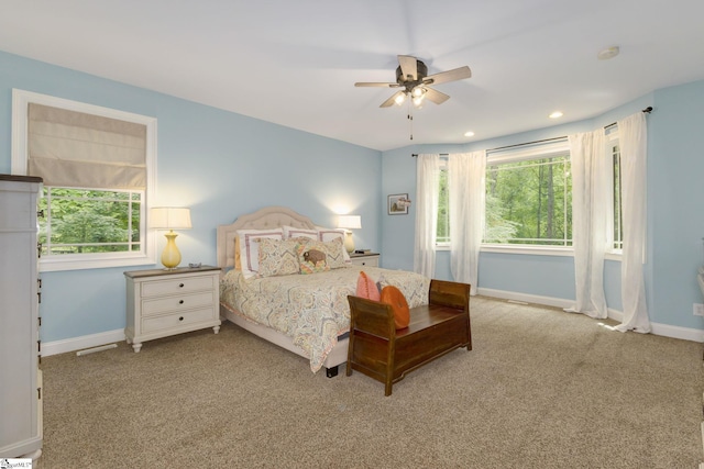 6 Terrapin Trl, Taylors, SC 29687 - bedroom with carpet, multiple windows, baseboards, and recessed lighting