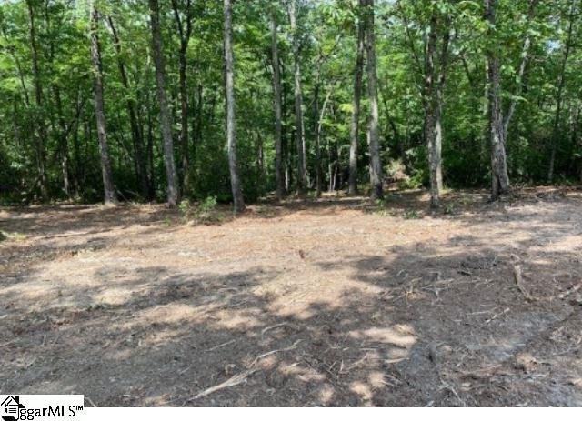465 Highridge Pkwy The Cliffs At Mountain Park, Marietta, SC 29661