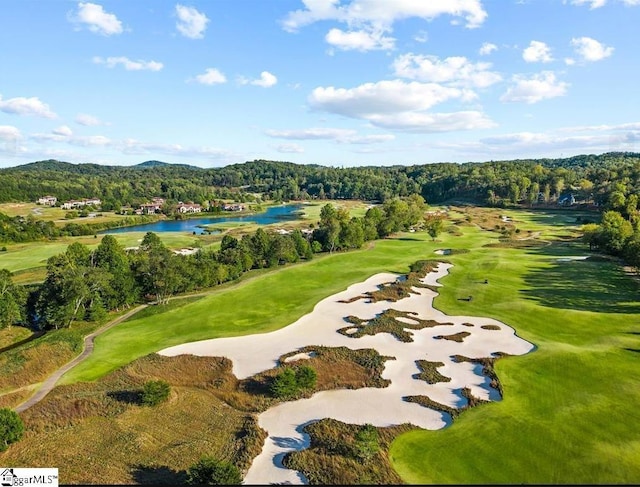 465 Highridge Pkwy The Cliffs At Mountain Park, Marietta, SC 29661