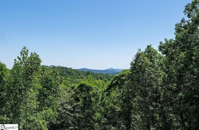 465 Highridge Pkwy The Cliffs At Mountain Park, Marietta, SC 29661