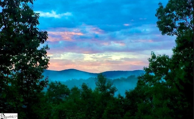 465 Highridge Pkwy The Cliffs At Mountain Park, Marietta, SC 29661