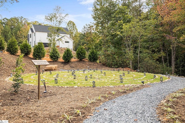 128 Sanctuary Ln, Taylors, SC 29687 - view of yard