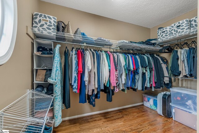 119 Circle Slope Dr, Simpsonville, SC 29681 - spacious closet featuring wood finished floors