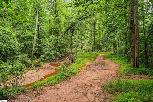 119 Circle Slope Dr, Simpsonville, SC 29681 - view of woods