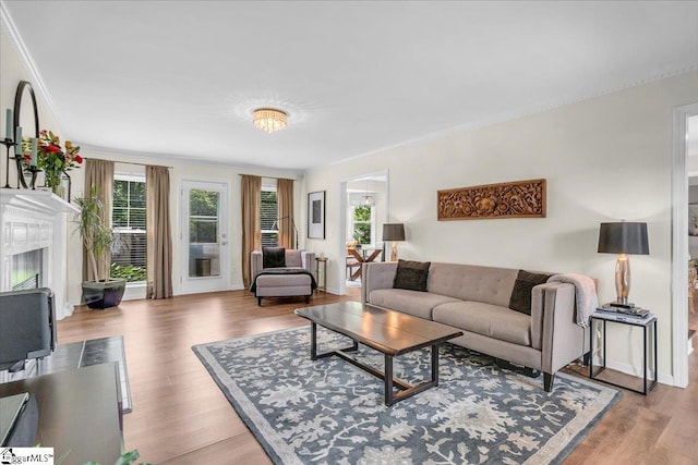 16 Chariot Ln, Simpsonville, SC 29681 - living room featuring ornamental molding, plenty of natural light, a fireplace, and wood finished floors