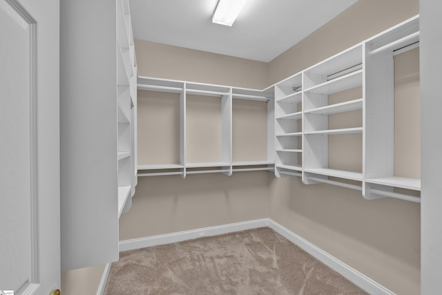 17 Bradford N Way, Greenville, SC 29617 - walk in closet with carpet flooring
